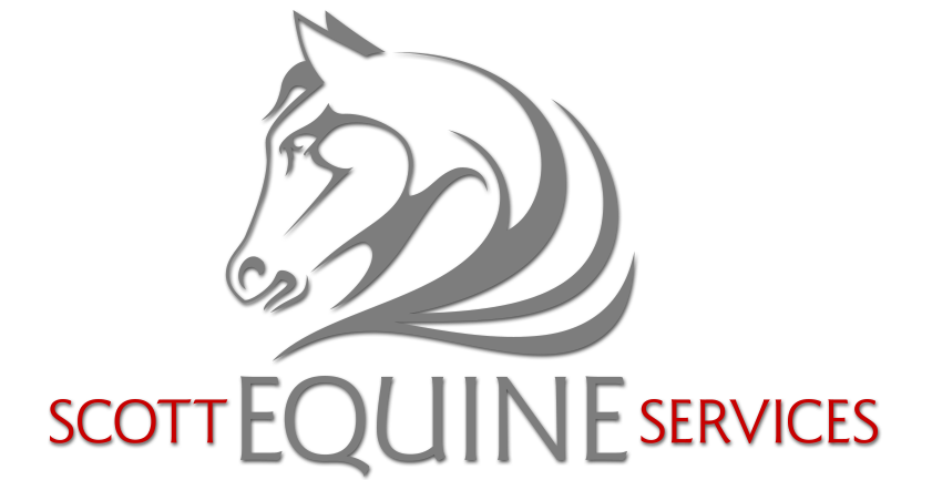 equine vets